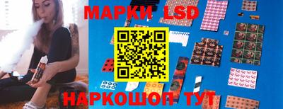 спиды Донской