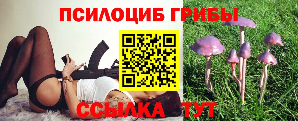 Псилоцибиновые грибы прущие грибы  Галлюциногенные грибы Psilocybine cubensis  Малоярославец  Вход с VPN 