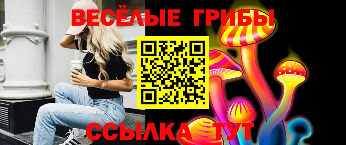 Псилоцибиновые грибы прущие грибы Малоярославец